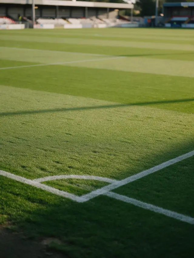 Prato sportivo