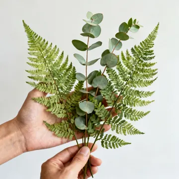 Piante stabilizzate verdi e fresche