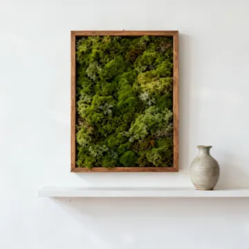 Quadro vegetale di verde stabilizzato