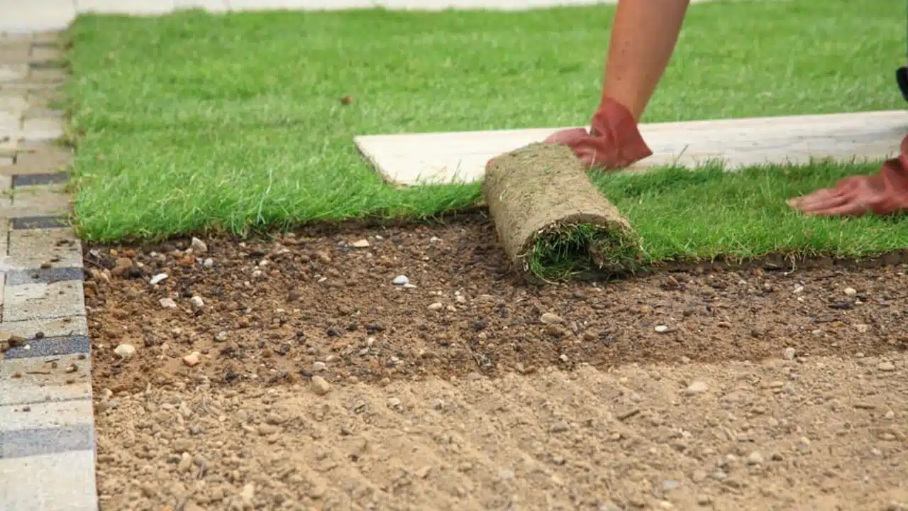 Scopri di più sull'articolo Come preparare il terreno per l’erba a rotoli